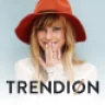 Trendion | A Personal Lifestyle Blog and Magazine WordPress Theme