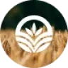Agrarian - Agriculture Company & Organic Farm WordPress Theme