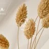 skka  - Candle Shop Template WordPress
