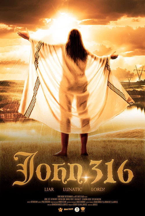 Download John, 316 (2020) Dual Audio {Hindi-English} WEB-DL 480p [370MB] | 720p [870MB] | 1080p [2GB]