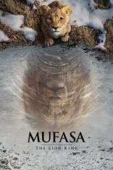 Mufasa The Lion King MoviesKai