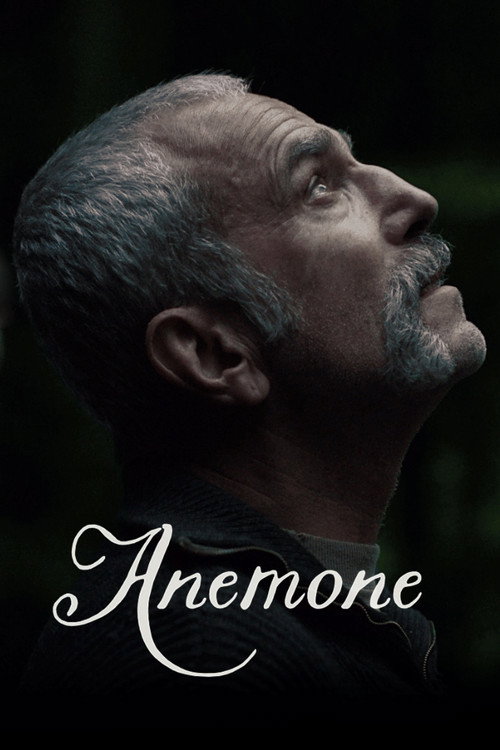 Anemone (2025) Dual Audio (DD5.1) {Hindi-English} BluRay 480p [390MB] | 720p [1.1GB] | 1080p [2.3GB]